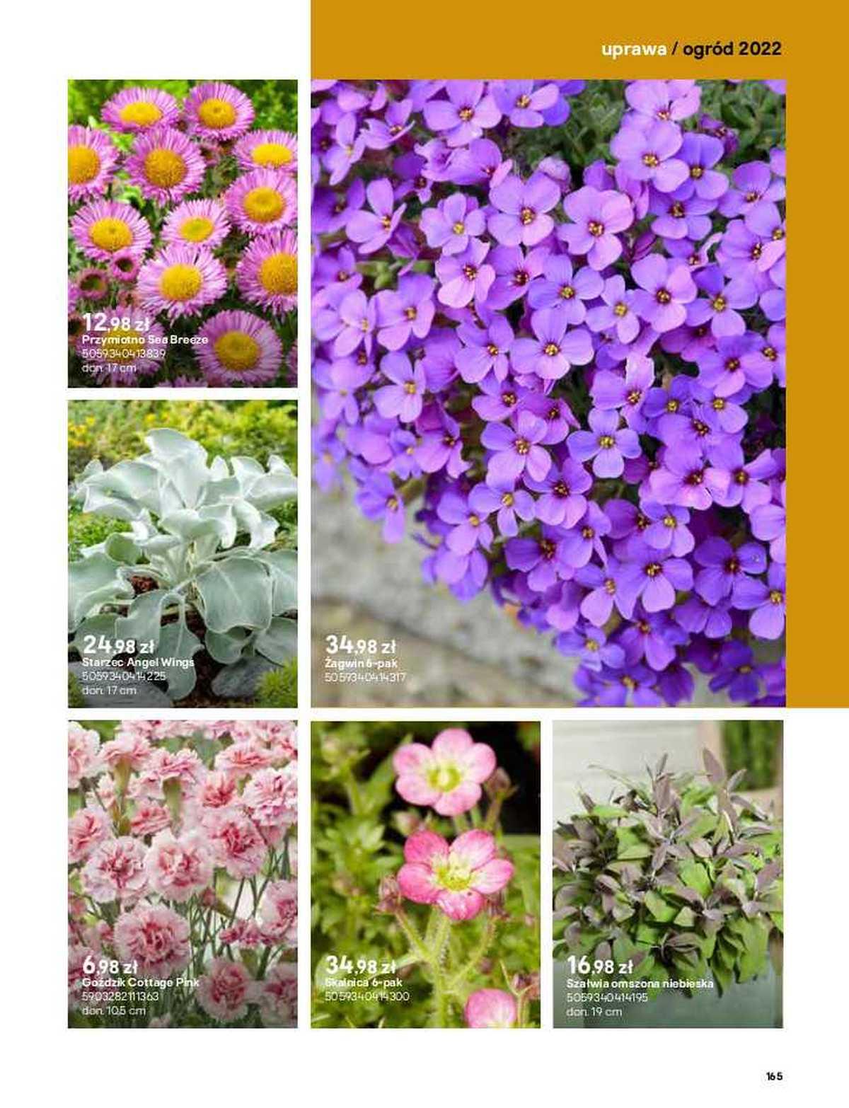 Gazetka promocyjna Castorama str. 165