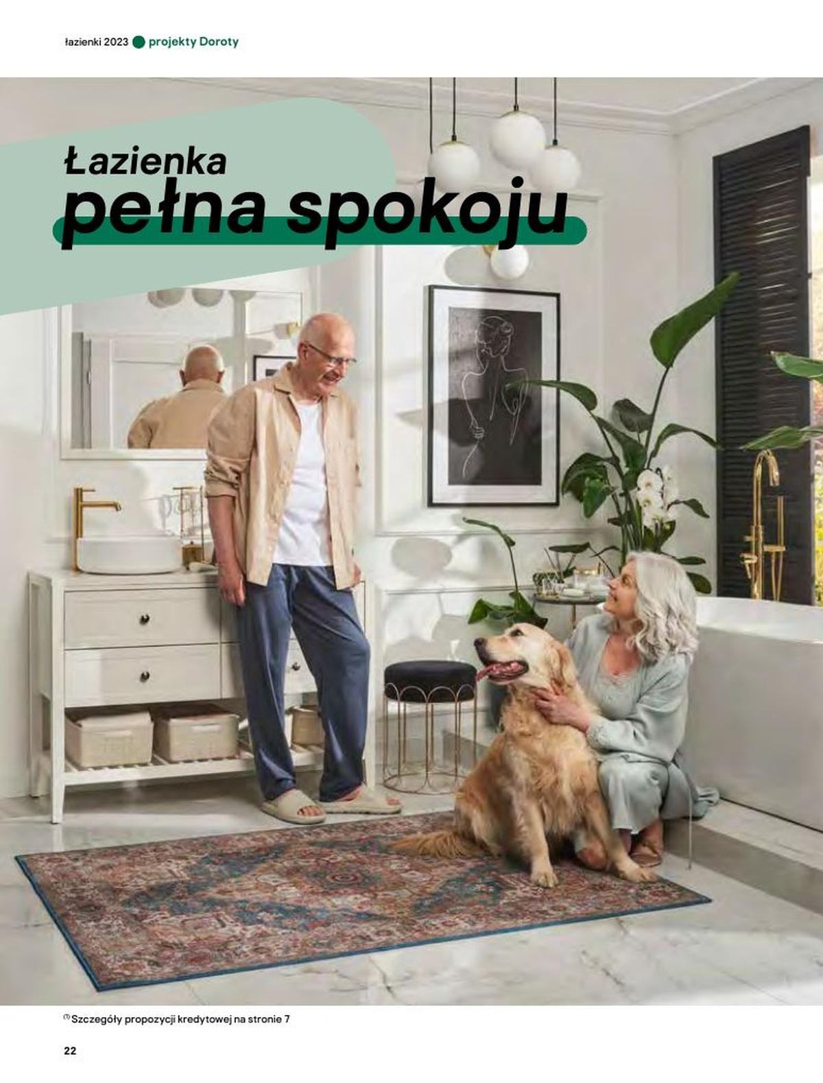 Gazetka promocyjna Castorama str. 22