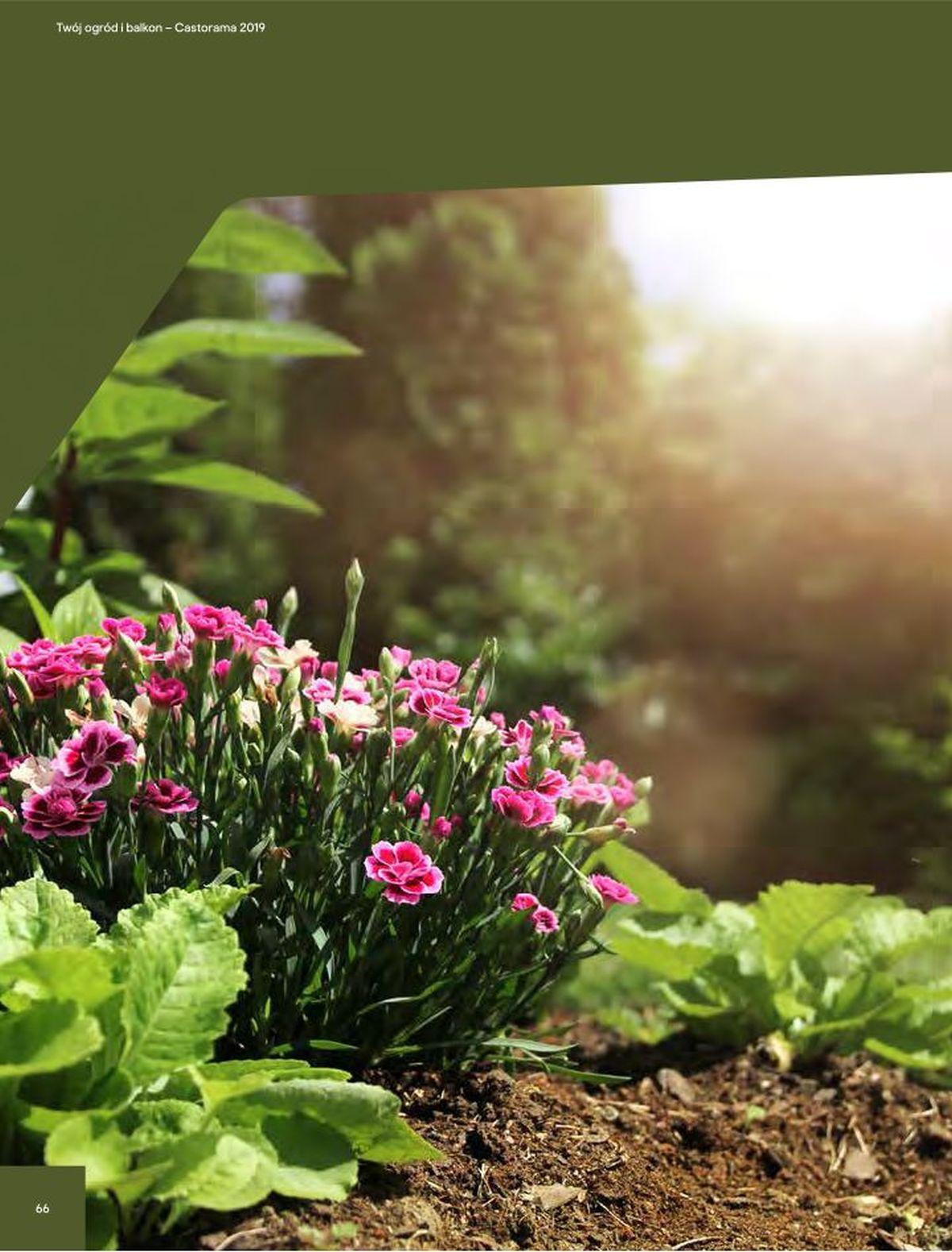 Gazetka promocyjna Castorama str. 59