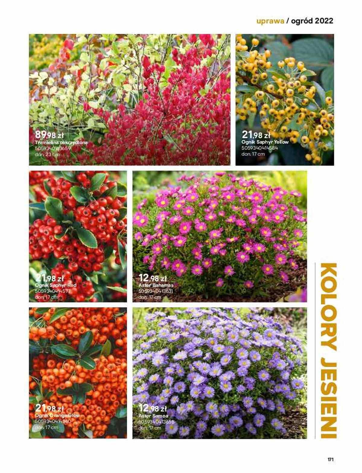 Gazetka promocyjna Castorama str. 171