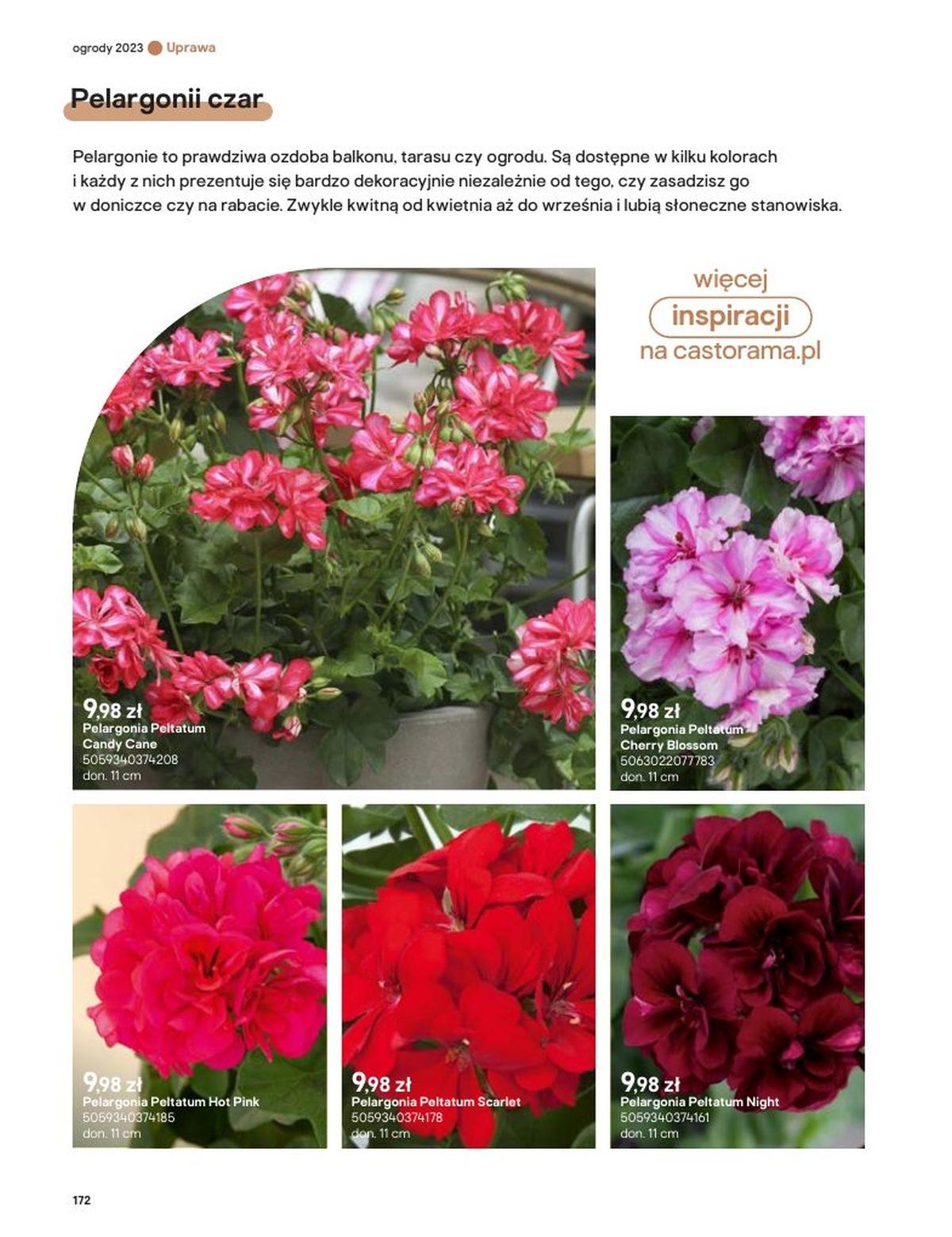 Gazetka promocyjna Castorama str. 172