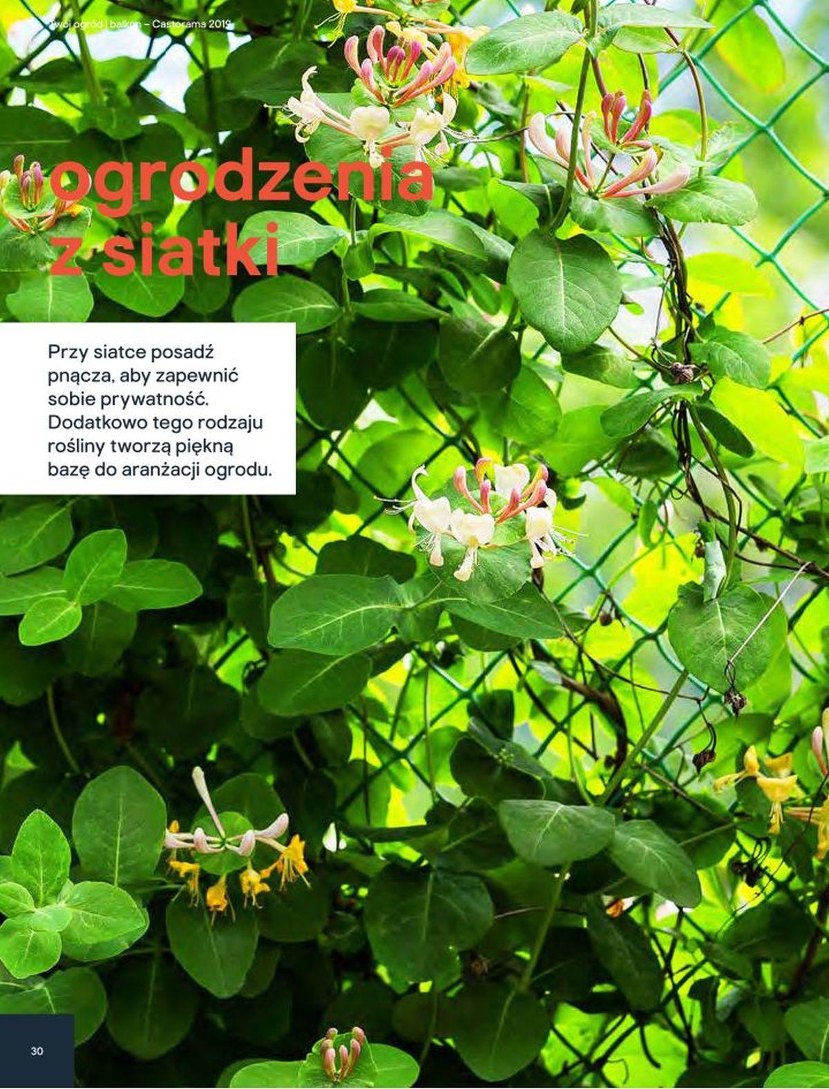 Gazetka promocyjna Castorama str. 23