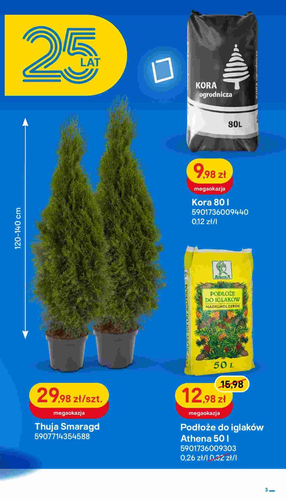 Gazetka promocyjna Castorama str. 3