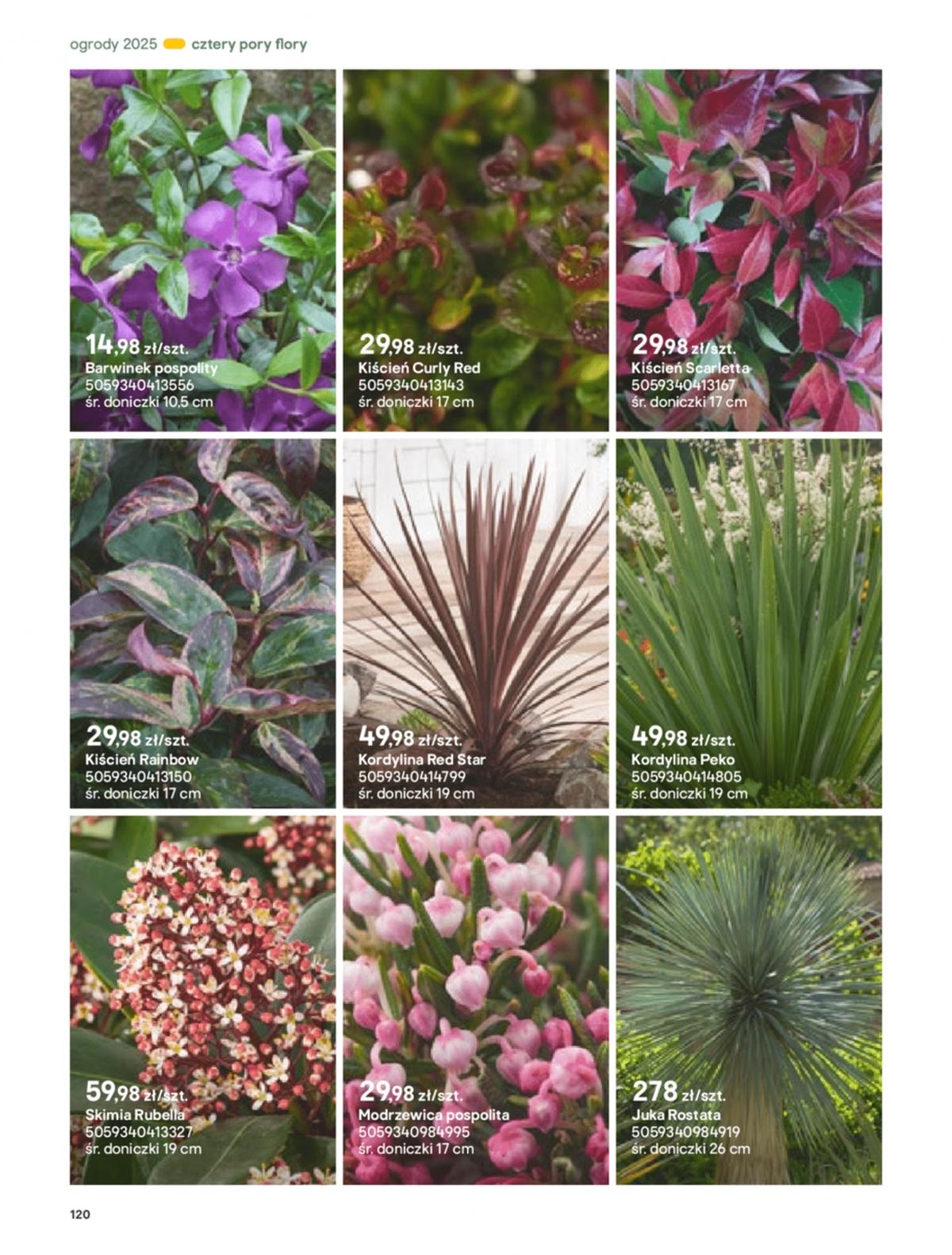 Gazetka promocyjna Castorama str. 120