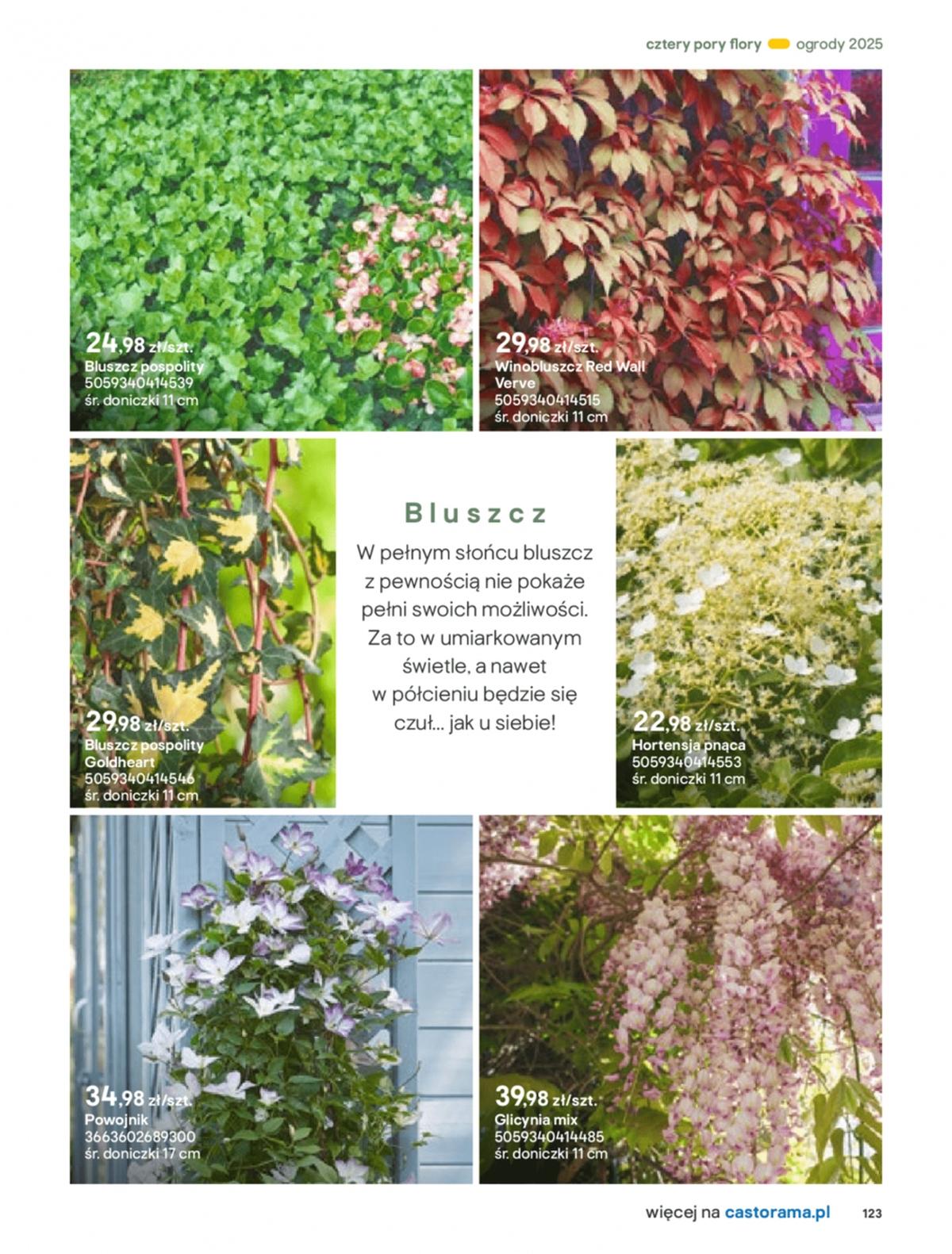 Gazetka promocyjna Castorama str. 123