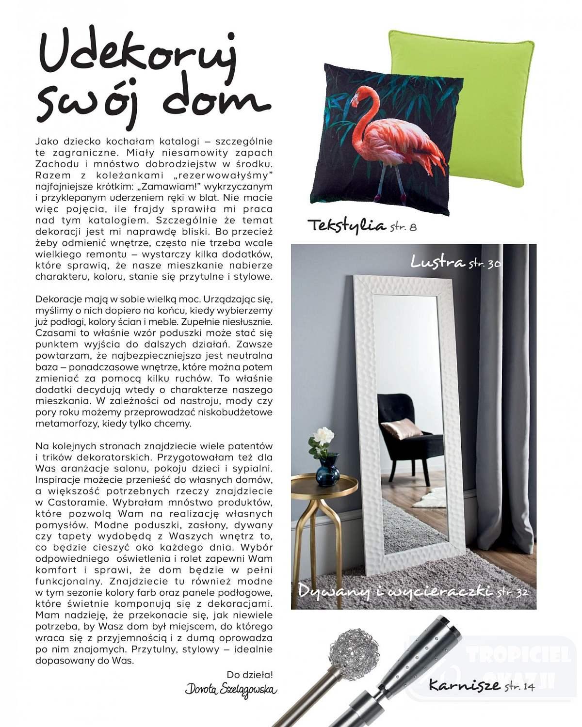 Gazetka promocyjna Castorama str. 2