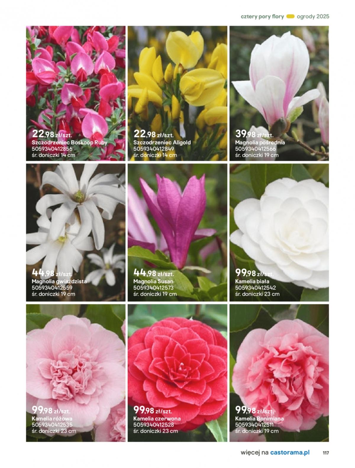 Gazetka promocyjna Castorama str. 117