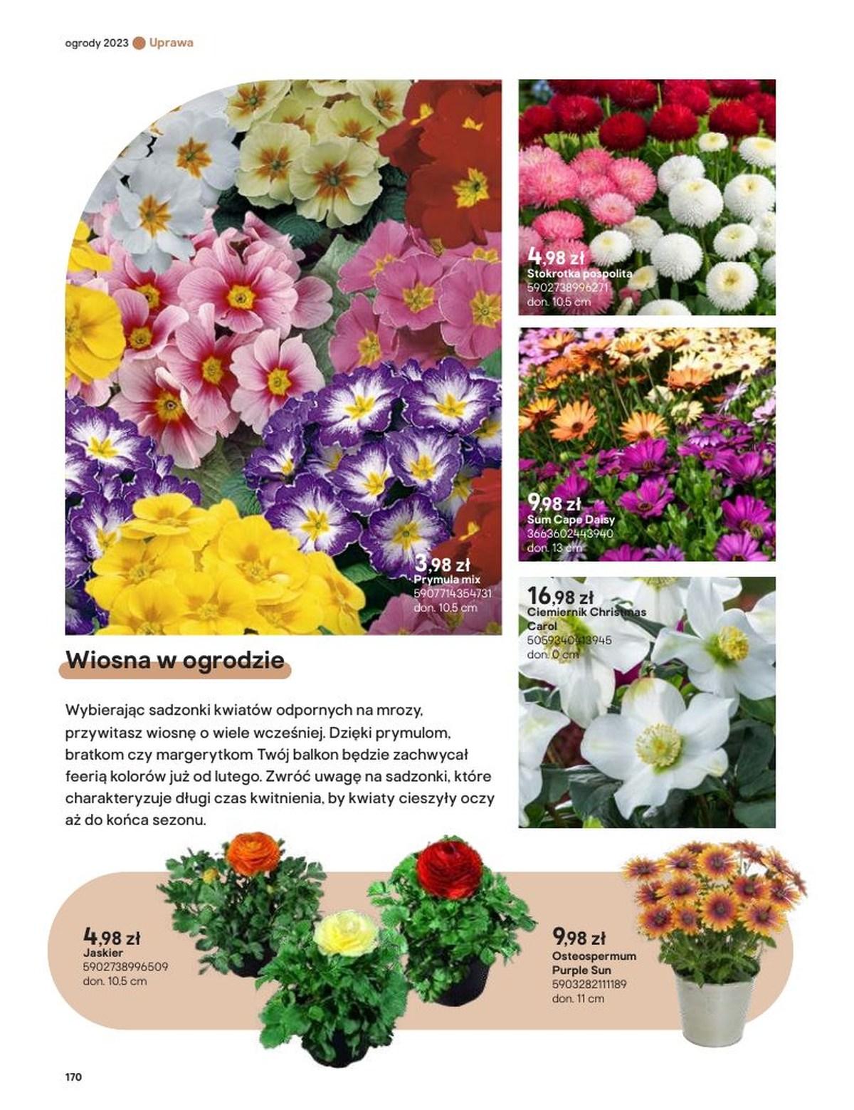 Gazetka promocyjna Castorama str. 170