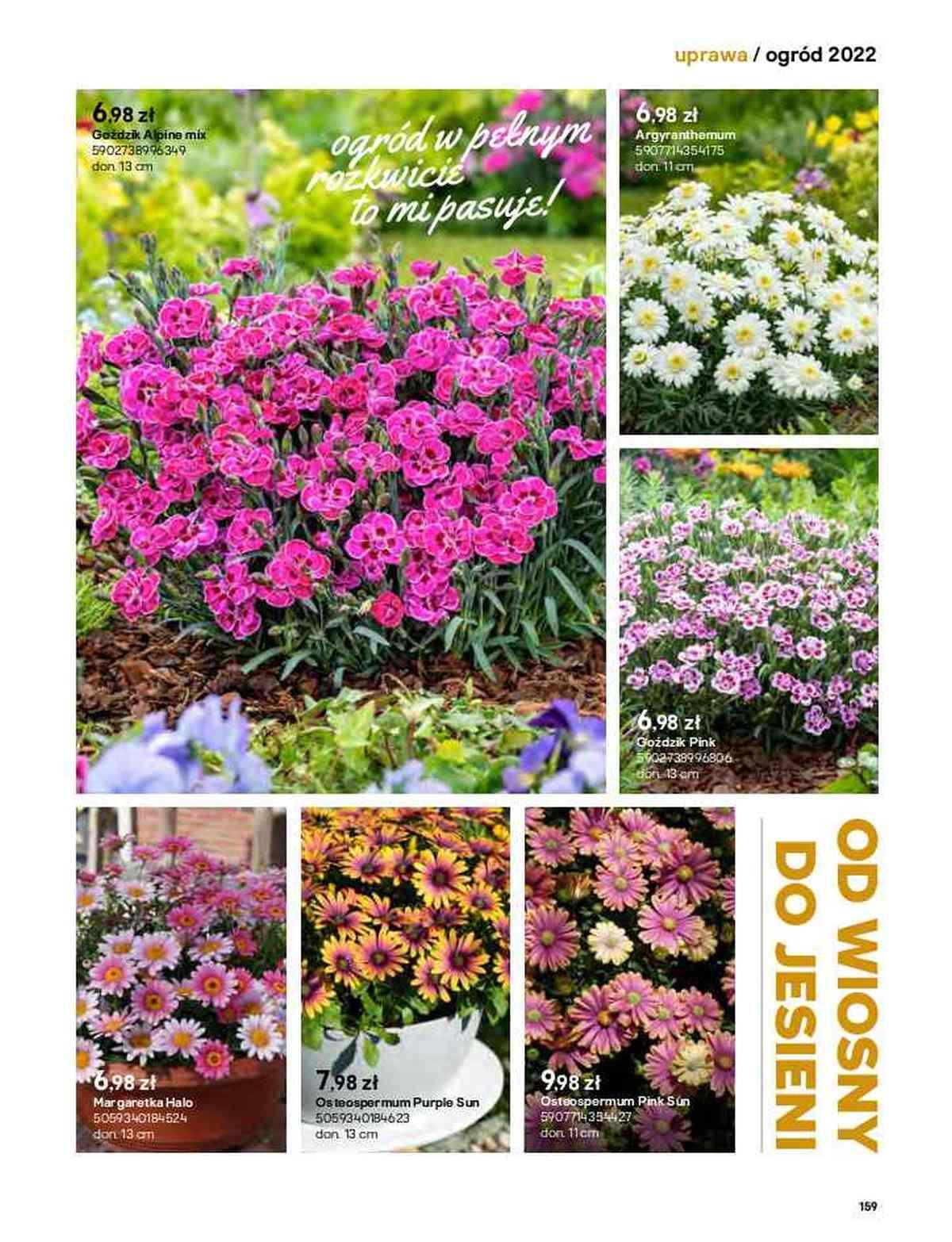 Gazetka promocyjna Castorama str. 159